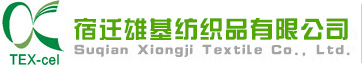 專業(yè)生產軟包裝成套設備及相關設備